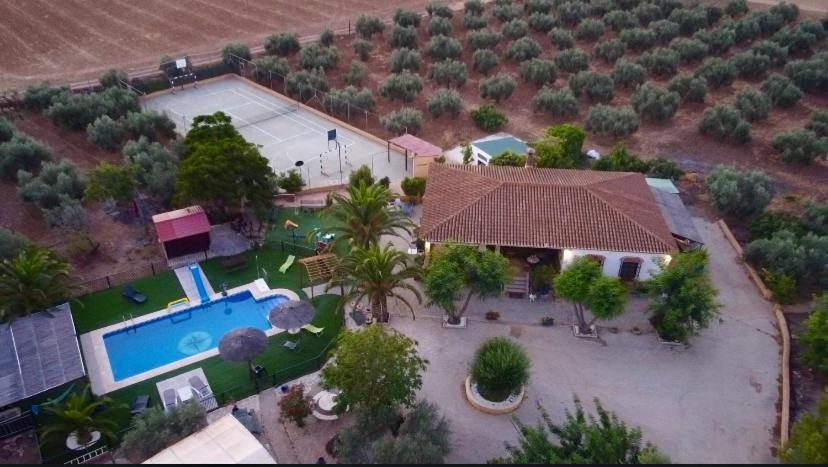 Finca Villa Rey أرذاليس المظهر الخارجي الصورة