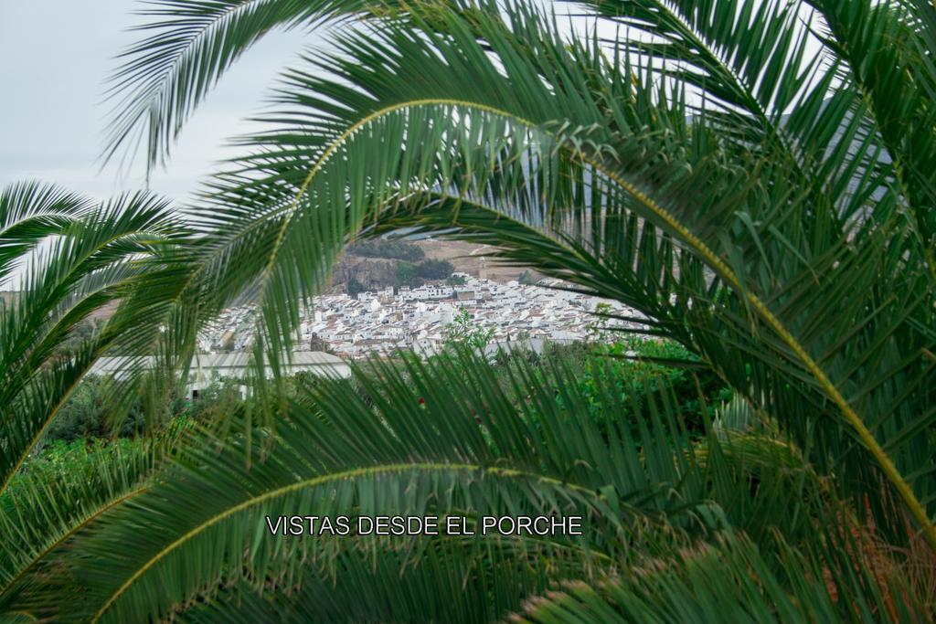 Finca Villa Rey أرذاليس المظهر الخارجي الصورة